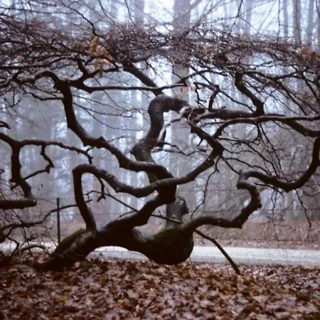 Alloggio in famiglia Privée Chez Particulier Reims