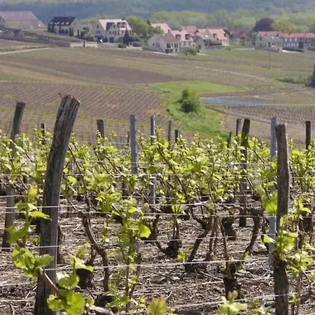 Alloggio in famiglia Privée Chez Particulier Reims